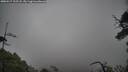 ./images/calvert/fitz-hugh-hecate/20250517/fitz-hugh-hecate20250517_125508M.jpg