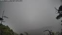 ./images/calvert/fitz-hugh-hecate/20250517/fitz-hugh-hecate20250517_130010M.jpg