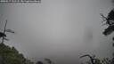 ./images/calvert/fitz-hugh-hecate/20250517/fitz-hugh-hecate20250517_131508M.jpg