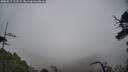 ./images/calvert/fitz-hugh-hecate/20250517/fitz-hugh-hecate20250517_132508M.jpg