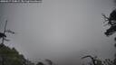 ./images/calvert/fitz-hugh-hecate/20250517/fitz-hugh-hecate20250517_134010M.jpg