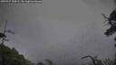 ./images/calvert/fitz-hugh-hecate/20250517/fitz-hugh-hecate20250517_134510M.jpg