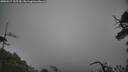 ./images/calvert/fitz-hugh-hecate/20250517/fitz-hugh-hecate20250517_135509M.jpg