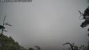./images/calvert/fitz-hugh-hecate/20250517/fitz-hugh-hecate20250517_144510M.jpg