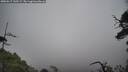 ./images/calvert/fitz-hugh-hecate/20250517/fitz-hugh-hecate20250517_145509M.jpg