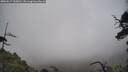 ./images/calvert/fitz-hugh-hecate/20250517/fitz-hugh-hecate20250517_150010M.jpg
