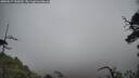 ./images/calvert/fitz-hugh-hecate/20250517/fitz-hugh-hecate20250517_150510M.jpg