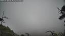 ./images/calvert/fitz-hugh-hecate/20250517/fitz-hugh-hecate20250517_151008M.jpg