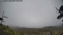 ./images/calvert/fitz-hugh-hecate/20250517/fitz-hugh-hecate20250517_153509M.jpg