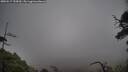./images/calvert/fitz-hugh-hecate/20250517/fitz-hugh-hecate20250517_155010M.jpg
