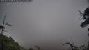 ./images/calvert/fitz-hugh-hecate/20250517/fitz-hugh-hecate20250517_160508M.jpg