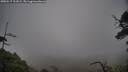 ./images/calvert/fitz-hugh-hecate/20250517/fitz-hugh-hecate20250517_161008M.jpg