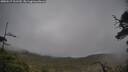 ./images/calvert/fitz-hugh-hecate/20250517/fitz-hugh-hecate20250517_161510M.jpg