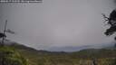 ./images/calvert/fitz-hugh-hecate/20250517/fitz-hugh-hecate20250517_162509M.jpg