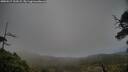 ./images/calvert/fitz-hugh-hecate/20250517/fitz-hugh-hecate20250517_163509M.jpg