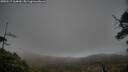 ./images/calvert/fitz-hugh-hecate/20250517/fitz-hugh-hecate20250517_164010M.jpg