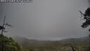 ./images/calvert/fitz-hugh-hecate/20250517/fitz-hugh-hecate20250517_164509M.jpg