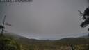 ./images/calvert/fitz-hugh-hecate/20250517/fitz-hugh-hecate20250517_165009M.jpg
