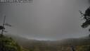 ./images/calvert/fitz-hugh-hecate/20250517/fitz-hugh-hecate20250517_165509M.jpg