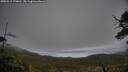 ./images/calvert/fitz-hugh-hecate/20250517/fitz-hugh-hecate20250517_170010M.jpg
