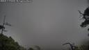 ./images/calvert/fitz-hugh-hecate/20250517/fitz-hugh-hecate20250517_170510M.jpg