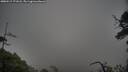 ./images/calvert/fitz-hugh-hecate/20250517/fitz-hugh-hecate20250517_171008M.jpg
