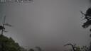 ./images/calvert/fitz-hugh-hecate/20250517/fitz-hugh-hecate20250517_171510M.jpg