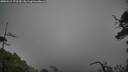 ./images/calvert/fitz-hugh-hecate/20250517/fitz-hugh-hecate20250517_172510M.jpg