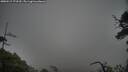 ./images/calvert/fitz-hugh-hecate/20250517/fitz-hugh-hecate20250517_173510M.jpg