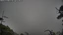 ./images/calvert/fitz-hugh-hecate/20250517/fitz-hugh-hecate20250517_174009M.jpg