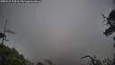 ./images/calvert/fitz-hugh-hecate/20250517/fitz-hugh-hecate20250517_174510M.jpg