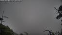 ./images/calvert/fitz-hugh-hecate/20250517/fitz-hugh-hecate20250517_175010M.jpg