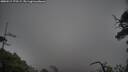 ./images/calvert/fitz-hugh-hecate/20250517/fitz-hugh-hecate20250517_175509M.jpg