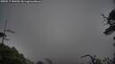 ./images/calvert/fitz-hugh-hecate/20250517/fitz-hugh-hecate20250517_181010M.jpg