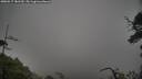 ./images/calvert/fitz-hugh-hecate/20250517/fitz-hugh-hecate20250517_181510M.jpg