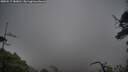 ./images/calvert/fitz-hugh-hecate/20250517/fitz-hugh-hecate20250517_183010M.jpg