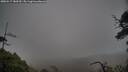 ./images/calvert/fitz-hugh-hecate/20250517/fitz-hugh-hecate20250517_183510M.jpg