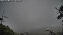./images/calvert/fitz-hugh-hecate/20250517/fitz-hugh-hecate20250517_184010M.jpg
