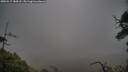 ./images/calvert/fitz-hugh-hecate/20250517/fitz-hugh-hecate20250517_184508M.jpg