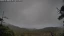 ./images/calvert/fitz-hugh-hecate/20250517/fitz-hugh-hecate20250517_185010M.jpg