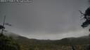 ./images/calvert/fitz-hugh-hecate/20250517/fitz-hugh-hecate20250517_190009M.jpg