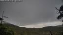 ./images/calvert/fitz-hugh-hecate/20250517/fitz-hugh-hecate20250517_190508M.jpg