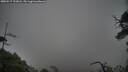 ./images/calvert/fitz-hugh-hecate/20250517/fitz-hugh-hecate20250517_193008M.jpg
