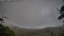 ./images/calvert/fitz-hugh-hecate/20250517/fitz-hugh-hecate20250517_194008M.jpg