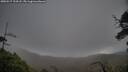 ./images/calvert/fitz-hugh-hecate/20250517/fitz-hugh-hecate20250517_194508M.jpg