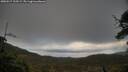 ./images/calvert/fitz-hugh-hecate/20250517/fitz-hugh-hecate20250517_195508M.jpg