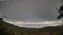 ./images/calvert/fitz-hugh-hecate/20250517/fitz-hugh-hecate20250517_200009M.jpg