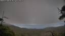 ./images/calvert/fitz-hugh-hecate/20250517/fitz-hugh-hecate20250517_200508M.jpg