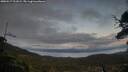 ./images/calvert/fitz-hugh-hecate/20250517/fitz-hugh-hecate20250517_211009M.jpg