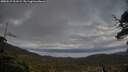 ./images/calvert/fitz-hugh-hecate/20250517/fitz-hugh-hecate20250517_211508M.jpg